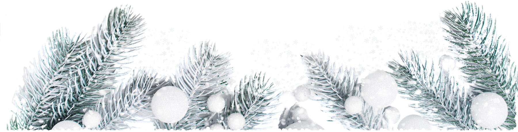 Verschneite Tannenzweige mit weißen Kugeln als festliche Winter- und Weihnachtsdekoration.